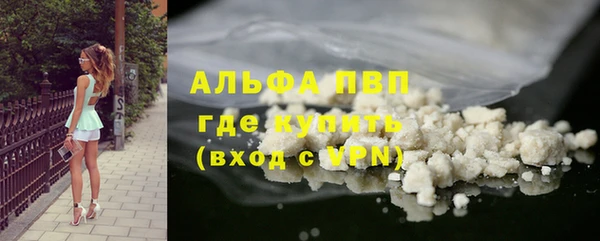 СК Алексин