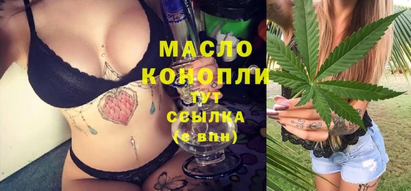 СК Алексин