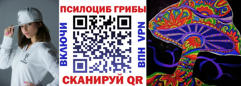 Галлюциногенные грибы GOLDEN TEACHER  omg ТОР  Карабулак  что такое  